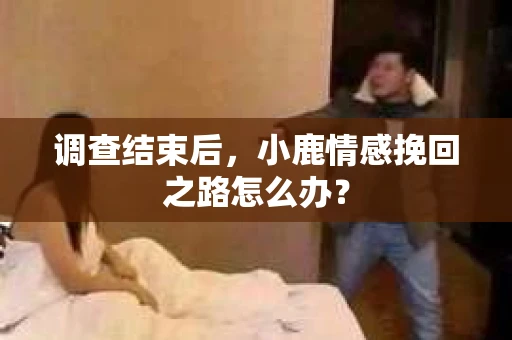 调查结束后，小鹿情感挽回之路怎么办？
