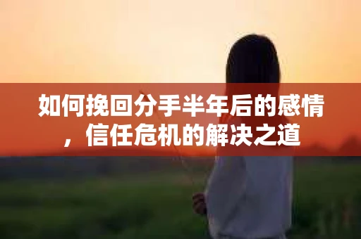如何挽回分手半年后的感情，信任危机的解决之道