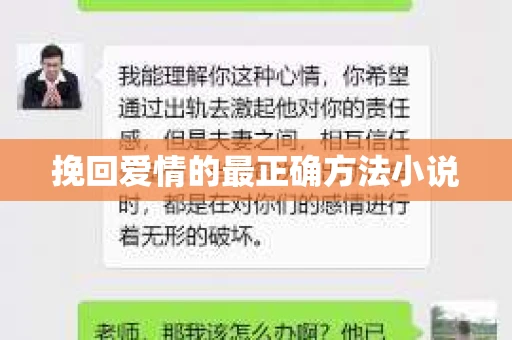 挽回爱情的最正确方法小说
