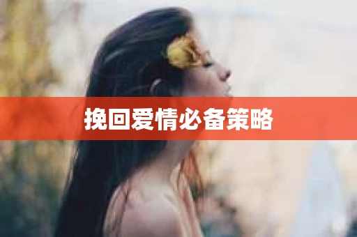 挽回爱情必备策略