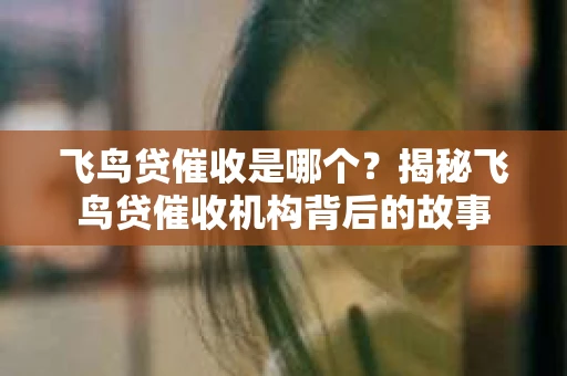 飞鸟贷催收是哪个？揭秘飞鸟贷催收机构背后的故事
