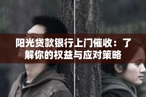 阳光贷款银行上门催收：了解你的权益与应对策略