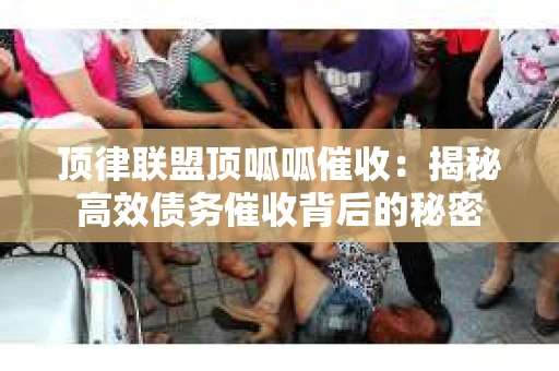 顶律联盟顶呱呱催收：揭秘高效债务催收背后的秘密