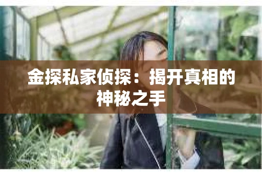 金探私家侦探：揭开真相的神秘之手