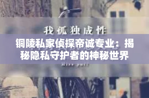 铜陵私家侦探帝诚专业：揭秘隐私守护者的神秘世界