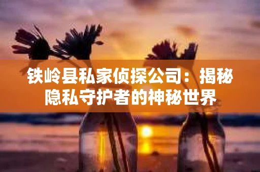 铁岭县私家侦探公司：揭秘隐私守护者的神秘世界
