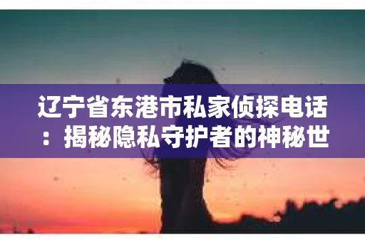 辽宁省东港市私家侦探电话：揭秘隐私守护者的神秘世界
