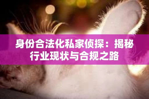 身份合法化私家侦探：揭秘行业现状与合规之路
