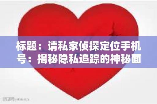标题：请私家侦探定位手机号：揭秘隐私追踪的神秘面纱