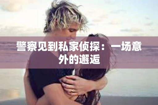 警察见到私家侦探：一场意外的邂逅