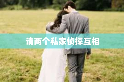 请两个私家侦探互相