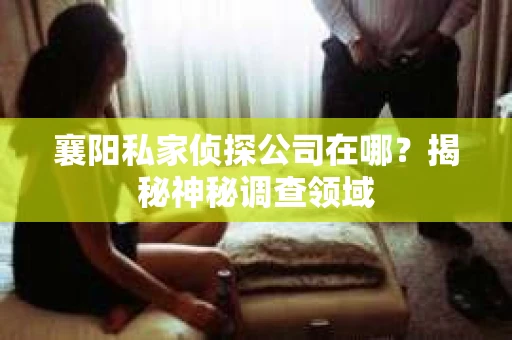 襄阳私家侦探公司在哪？揭秘神秘调查领域
