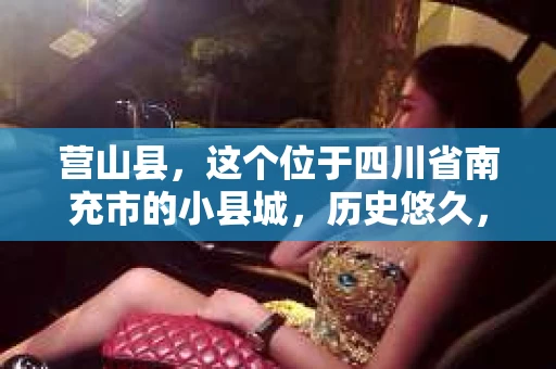 营山县，这个位于四川省南充市的小县城，历史悠久，风景秀丽。但在这个宁静的小县城里，你是否会好奇，有没有私家侦探的存在呢？今天，我就来和大家聊聊这个话题。