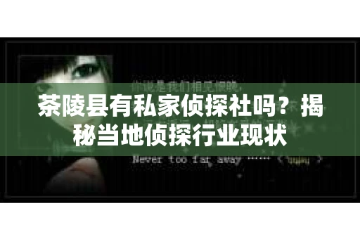 茶陵县有私家侦探社吗？揭秘当地侦探行业现状