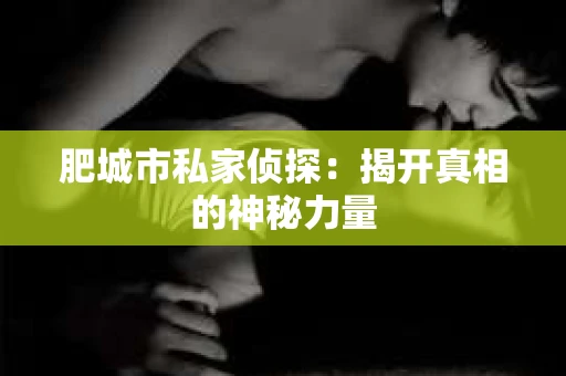 肥城市私家侦探：揭开真相的神秘力量