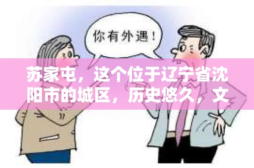 苏家屯，这个位于辽宁省沈阳市的城区，历史悠久，文化底蕴深厚。近年来，随着社会的发展，人们对于私家侦探的需求也逐渐增加。那么，苏家屯有私家侦探吗？今天，我们就来聊聊这个话题。