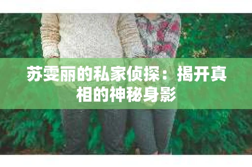 苏雯丽的私家侦探：揭开真相的神秘身影