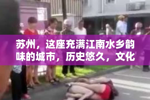 苏州，这座充满江南水乡韵味的城市，历史悠久，文化底蕴深厚。然而，在现代社会，随着人们生活节奏的加快，一些问题也随之而来。比如，有些人可能会遇到婚姻不忠、财产纠纷等问题，这时，私家侦探就成为了他们的选择。那么，苏州那里有私家侦探呢？下面，我就来为大家详细介绍一下。