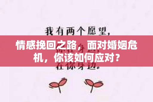 情感挽回之路，面对婚姻危机，你该如何应对？