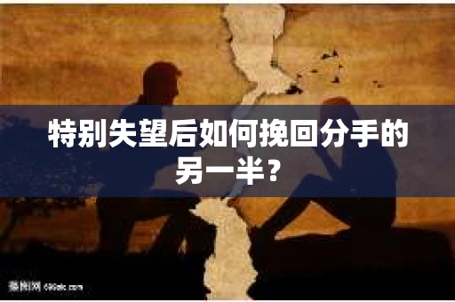 特别失望后如何挽回分手的另一半？