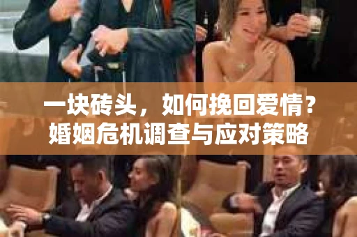 一块砖头，如何挽回爱情？婚姻危机调查与应对策略