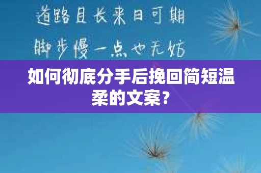 如何彻底分手后挽回简短温柔的文案？