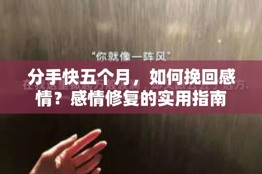 分手快五个月，如何挽回感情？感情修复的实用指南