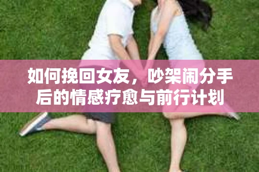 如何挽回女友，吵架闹分手后的情感疗愈与前行计划