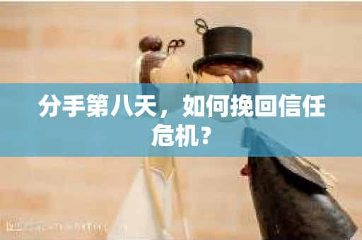 分手第八天，如何挽回信任危机？