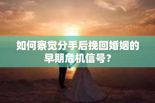 如何察觉分手后挽回婚姻的早期危机信号？